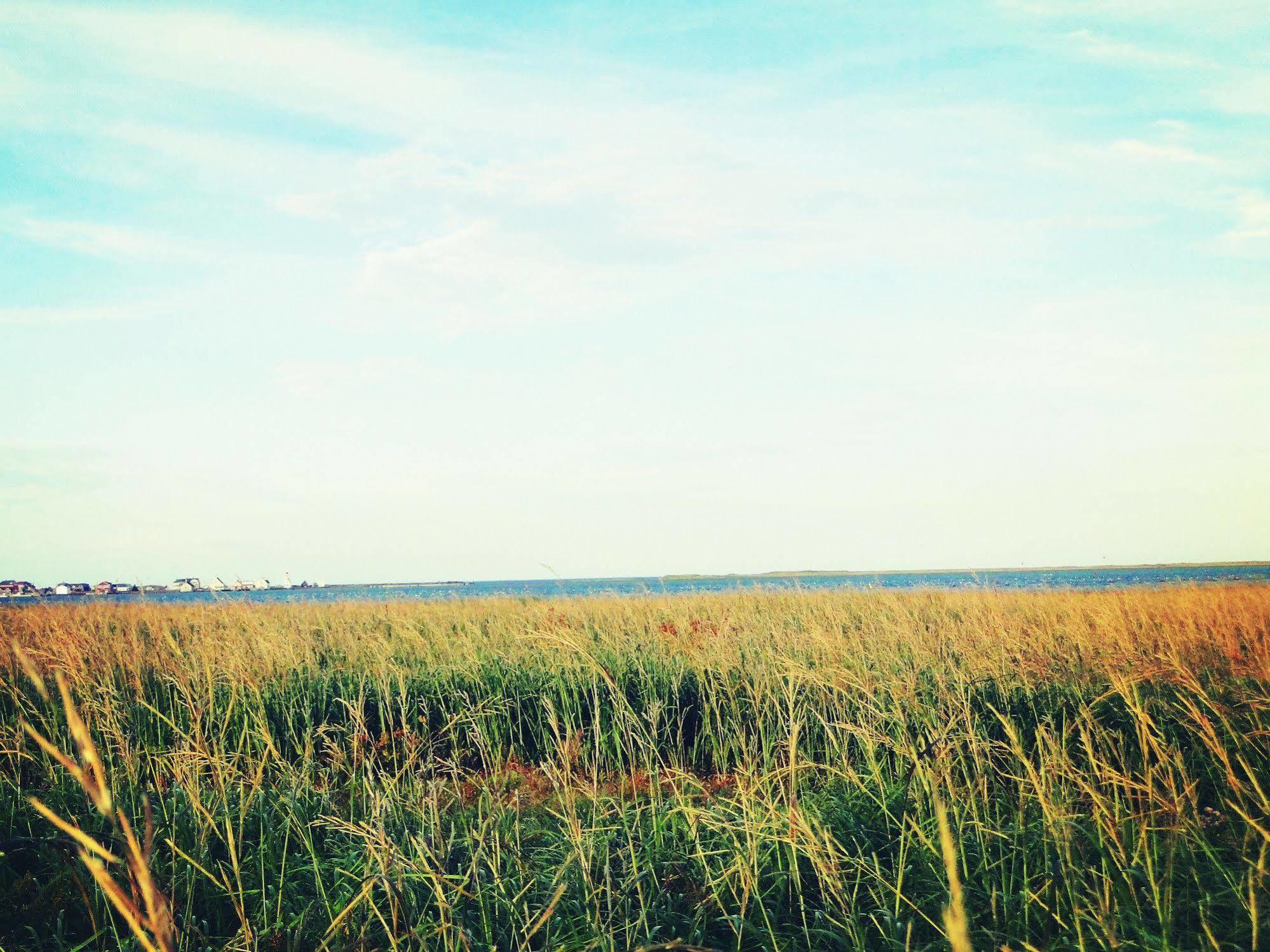 Blue Crest Cottages North Rustico Εξωτερικό φωτογραφία