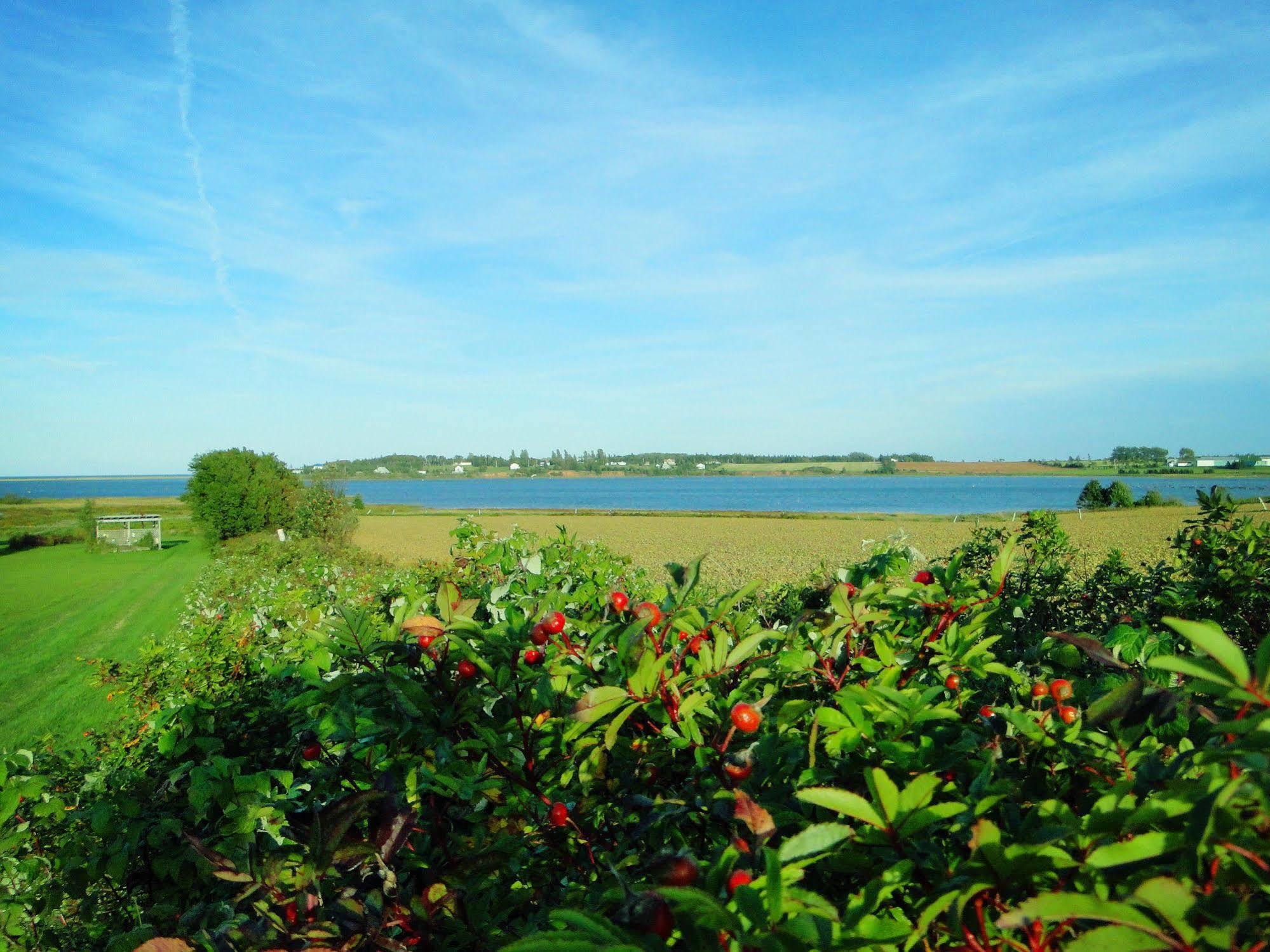 Blue Crest Cottages North Rustico Εξωτερικό φωτογραφία