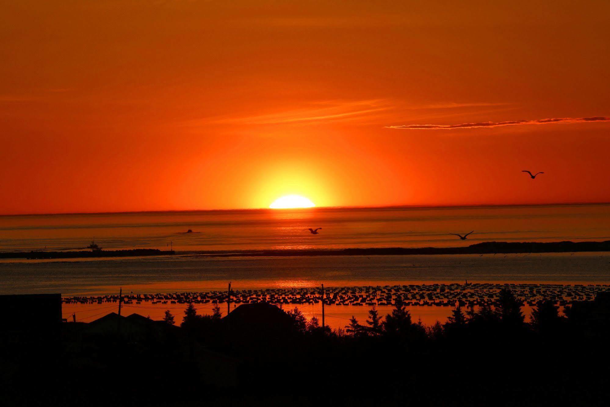 Blue Crest Cottages North Rustico Εξωτερικό φωτογραφία